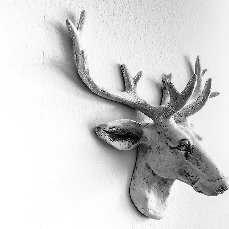 Apartment Barga E 4 Davos